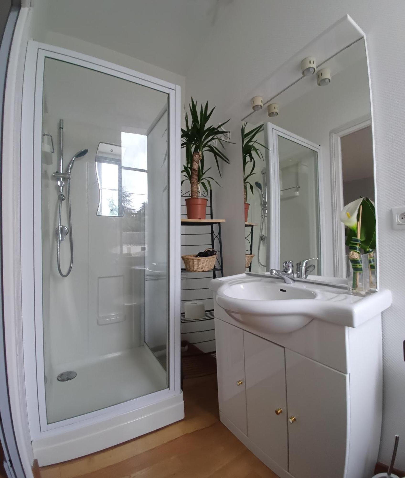 Le Jardin Des Lys - Chambre D'Hote Ou Appartement La Roche-Posay Szoba fotó